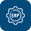 SAP/ERP Enterprise
                        Solutions